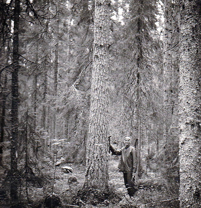 16-Pappa-i-skogen-i-boerjan-av-60talet.jpg