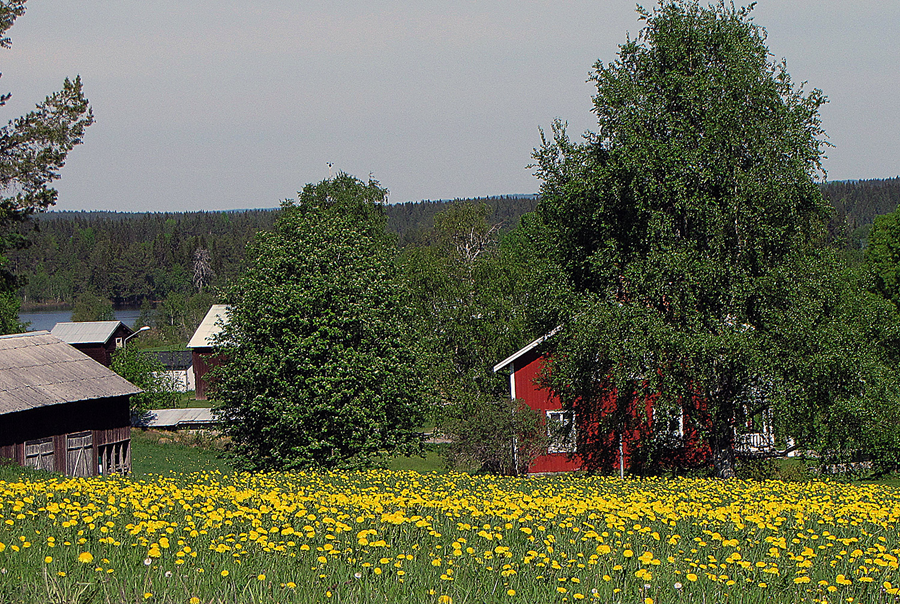 01-Sommardag.jpg