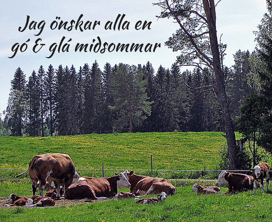 15-Glad-midsommar.jpg