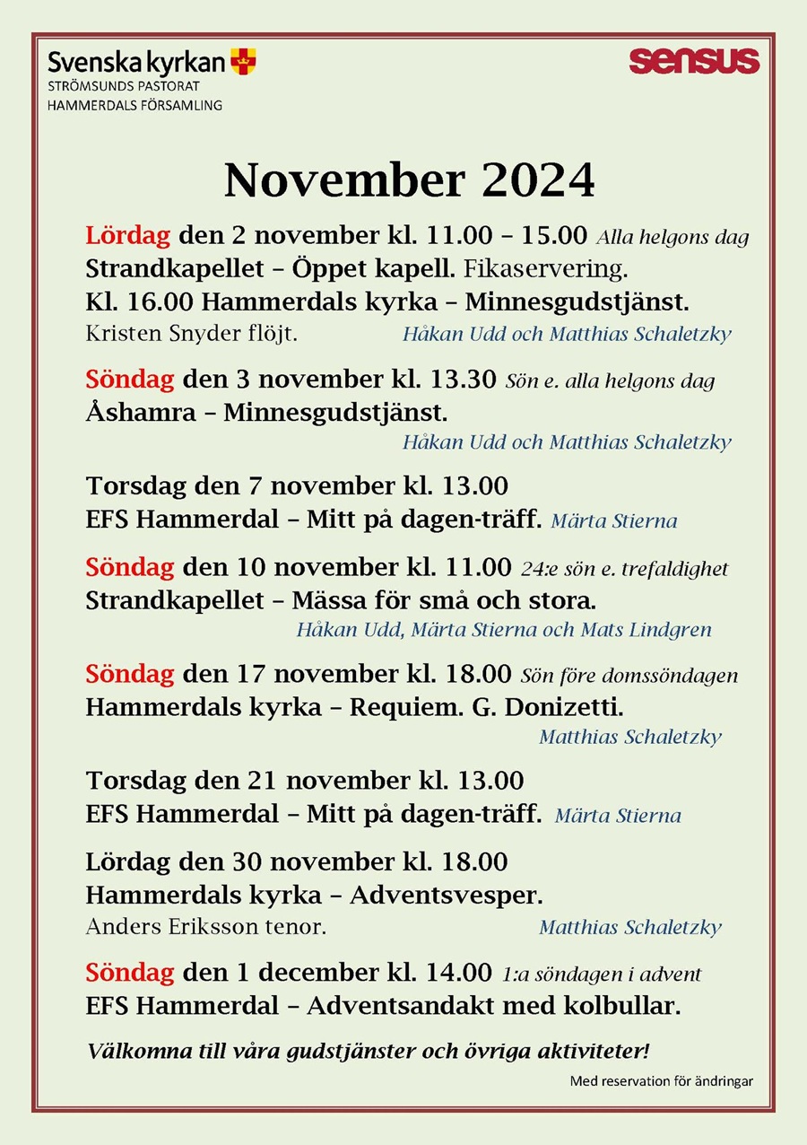 Hammerdal-nov-2024-2.jpg